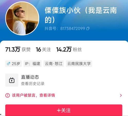 视频爆料自媒体有哪些,视频爆料背后的秘密与影响  第3张